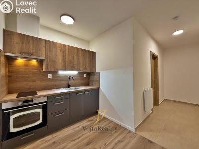 Аренда квартиры 1+1 Olomouc, Janského č. 2