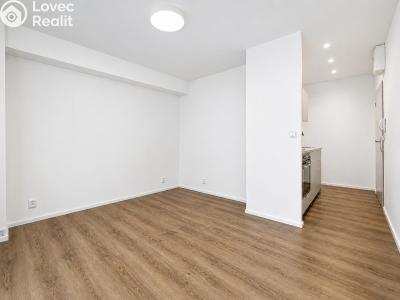 Pronájem bytu 1+KK Kolín, Funkeho 914 č. 11
