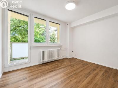 Pronájem bytu 1+KK Kolín, Funkeho 914 č. 1