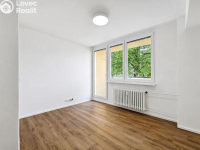 Pronájem bytu 1+KK Kolín, Funkeho 914 č. 2