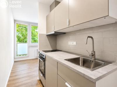 Pronájem bytu 1+KK Kolín, Funkeho 914 č. 4
