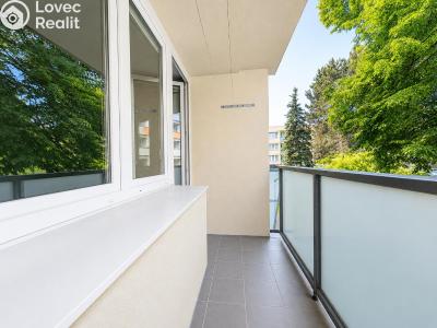 Pronájem bytu 1+KK Kolín, Funkeho 914 č. 8