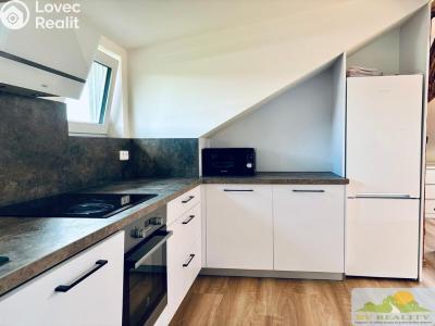 Rent apartment 1+KK Chrudim č. 13