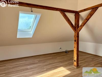 Rent apartment 1+KK Chrudim č. 6