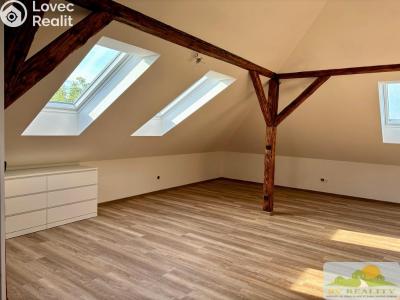 Rent apartment 1+KK Chrudim č. 8