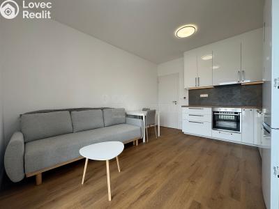 Pronájem bytu 2+KK Rostěnice-Zvonovice č. 4