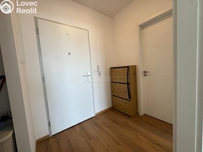 Pronájem bytu 2+KK Rostěnice-Zvonovice č. 10