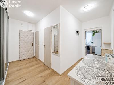 Аренда квартиры 3+1 Šternberk č. 14