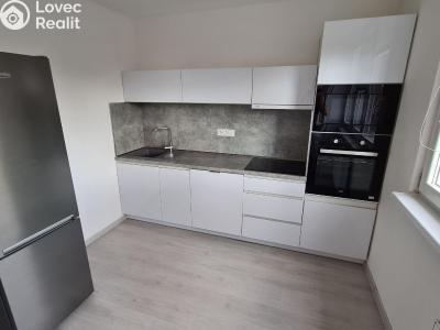Оренда квартири 1+1 Ostrava, Gen. Píky č. 1