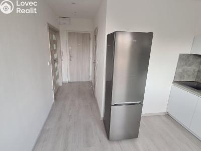 Оренда квартири 1+1 Ostrava, Gen. Píky č. 7