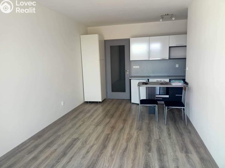Pronájem bytu 1+KK Chrudim, Na Kopanici 79 č. 1
