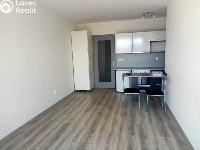 Rent apartment 1+KK Chrudim, Na Kopanici 79 č. 1