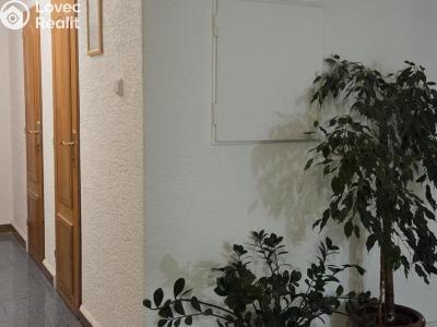 Rent office space Jeseník, 28. října č. 5