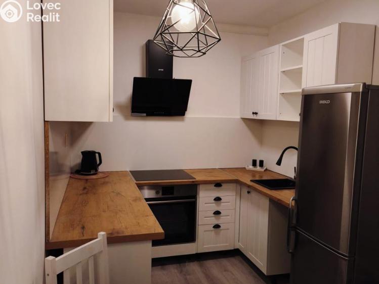 Аренда квартиры 1+1 Litvínov, Přátelství 246 č. 1