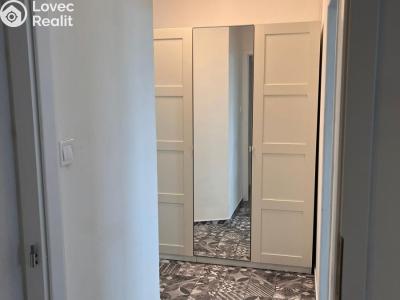 Аренда квартиры 1+1 Litvínov, Přátelství 246 č. 5