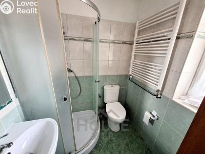 Продажа семейного дома Řehenice č. 9