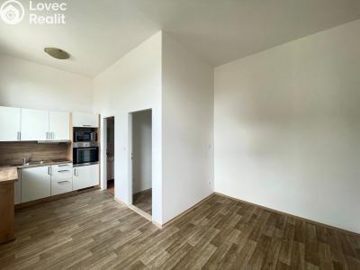 Аренда квартиры 1+KK Staré Hradiště, U Pošty 15 č. 3