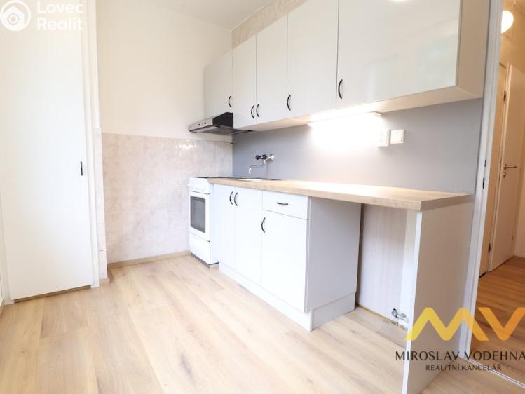 Аренда квартиры 1+1 Hradec Králové, Formánkova č. 2