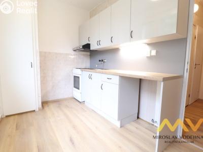 Аренда квартиры 1+1 Hradec Králové, Formánkova č. 2