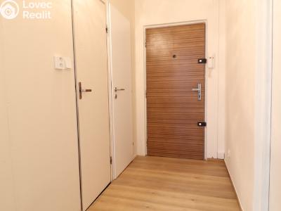 Аренда квартиры 1+1 Hradec Králové, Formánkova č. 13