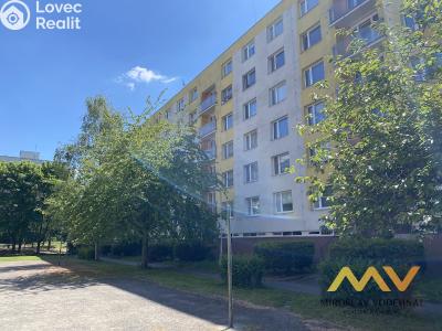 Аренда квартиры 1+1 Hradec Králové, Formánkova č. 16