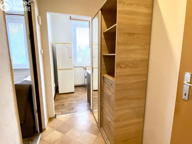 Pronájem bytu 1+1 Nasavrky, Truhlářská č. 5