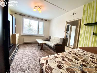 Rent apartment 1+1 Nasavrky, Truhlářská č. 2