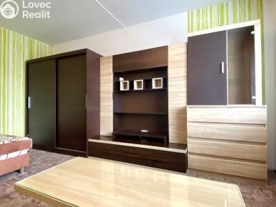 Rent apartment 1+1 Nasavrky, Truhlářská č. 3