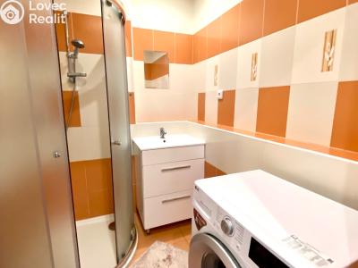 Rent apartment 1+1 Nasavrky, Truhlářská č. 4