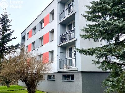 Rent apartment 1+1 Nasavrky, Truhlářská č. 7