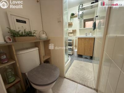 Аренда квартиры 2+1 Ústí nad Labem, Mošnova č. 9