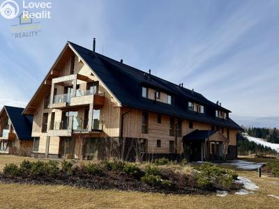 Sale apartment 1+KK Vítkovice č. 26