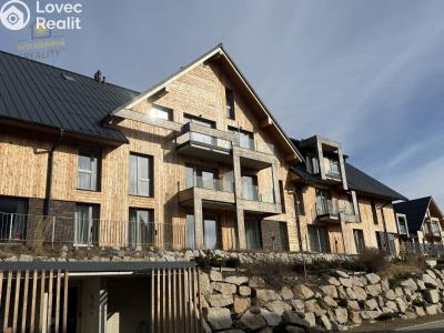 Sale apartment 1+KK Vítkovice č. 28
