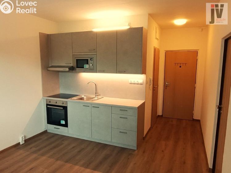 Продажа квартиры 1+1 Plzeň, Karla Steinera 868/38 č. 1