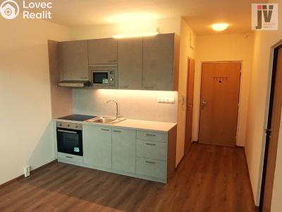 Sale apartment 1+1 Plzeň, Karla Steinera č. 1