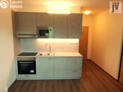 Sale apartment 1+1 Plzeň, Karla Steinera č. 5