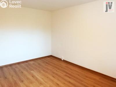 Sale apartment 1+1 Plzeň, Karla Steinera č. 8