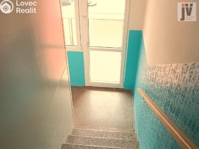 Sale apartment 1+1 Plzeň, Karla Steinera č. 15