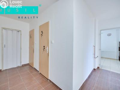 Sale apartment 2+1 Olomouc, Ladova č. 4