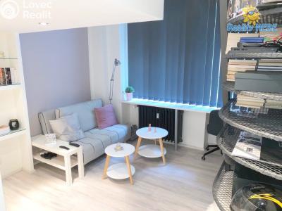 Rent apartment 1+KK Praha, Soběslavská č. 1