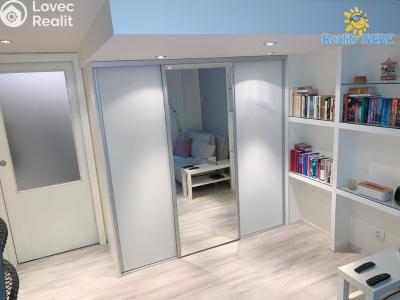 Rent apartment 1+KK Praha, Soběslavská č. 7