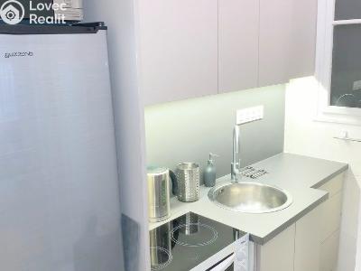 Rent apartment 1+KK Praha, Soběslavská č. 8