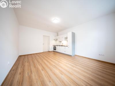 Pronájem bytu 2+KK Tábor, Hošťálkova č. 4
