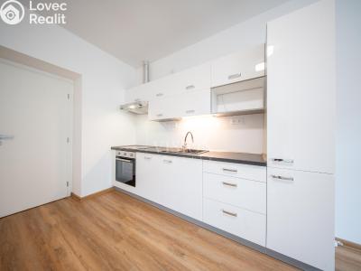 Pronájem bytu 2+KK Tábor, Hošťálkova č. 10