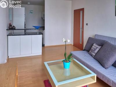 Rent apartment 2+KK Praha, Nechvílova č. 8