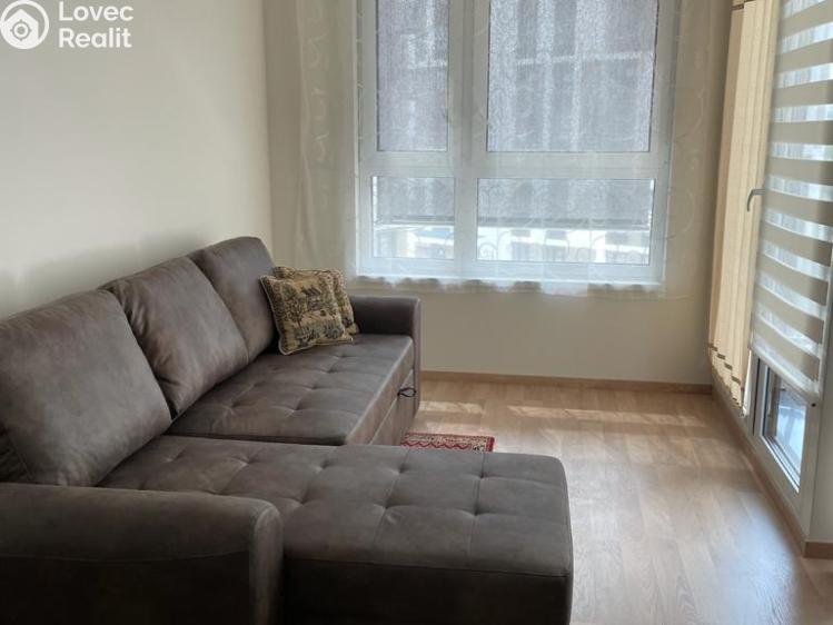 Rent apartment 1+KK Praha, Olgy Havlové 2916/42 č. 1
