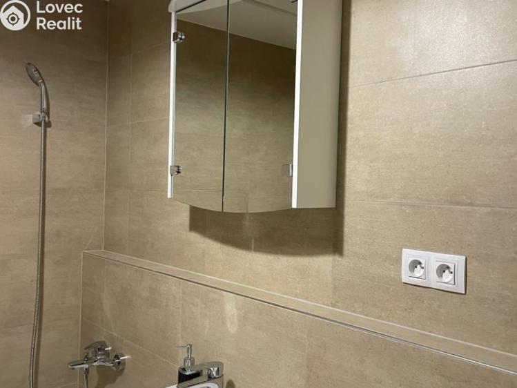 Rent apartment 1+KK Praha, Olgy Havlové 2916/42 č. 4