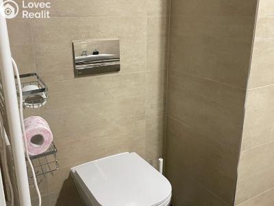 Аренда квартиры 1+KK Praha, Olgy Havlové č. 11