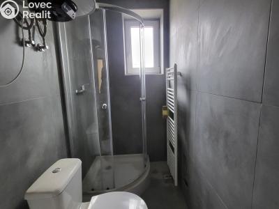 Rent apartment 1+KK Praha, Na břevnovské pláni č. 3
