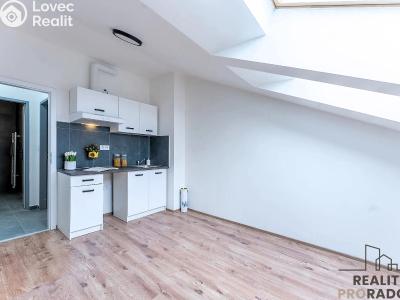 Rent apartment 1+KK Praha, Na břevnovské pláni č. 1